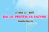 Tính chất hóa học, vật lí của Protein? Khái niệm, cấu tạo Protein, vai trò của Protein, Enzyme? Hóa 12 bài 10 KNTT